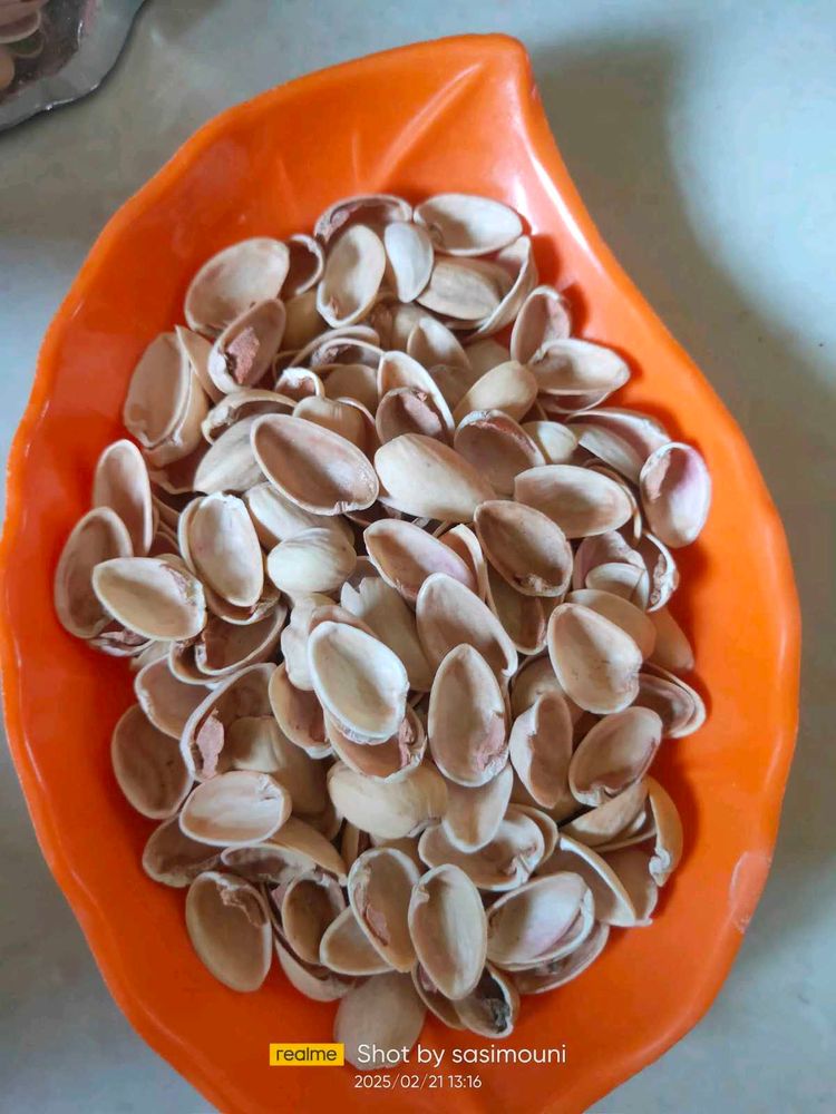 Pista Shells