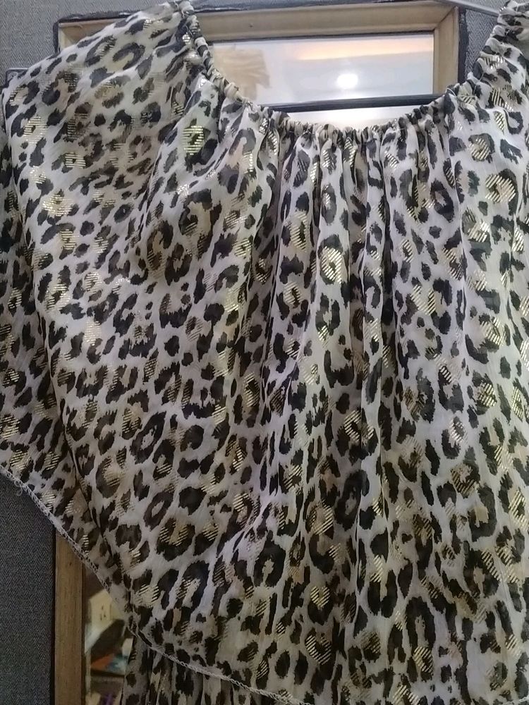 Beautiful Tiger Print Dress