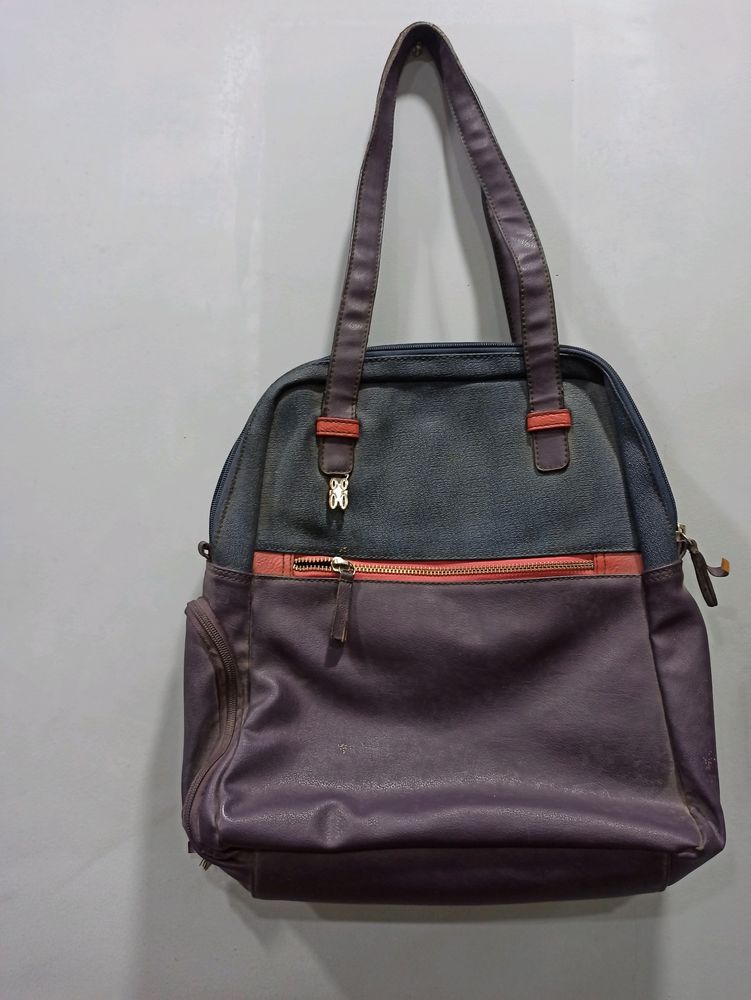Baggit Handbag With Hidden Pocket For Bottle