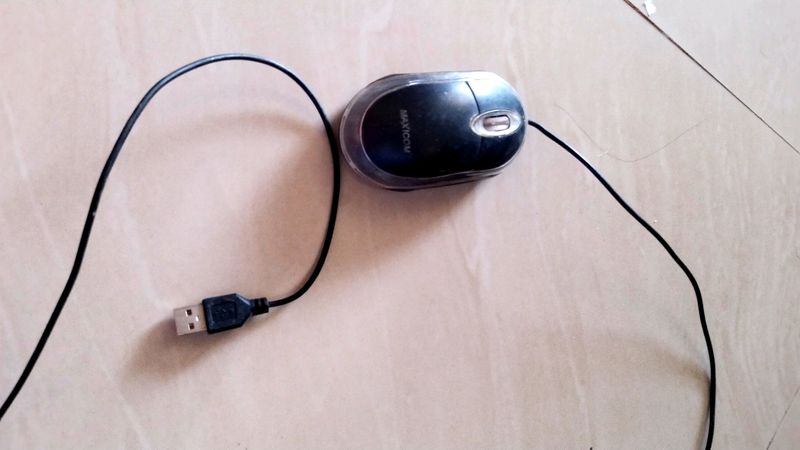Mouse
