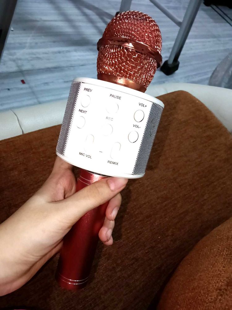 Karaoke Microphone