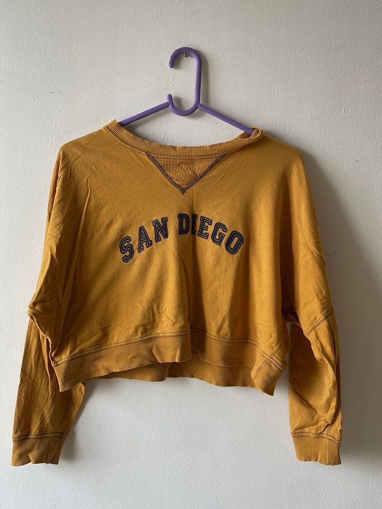 San Diego Crop Top