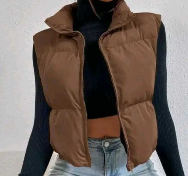Brown Puffer Vest