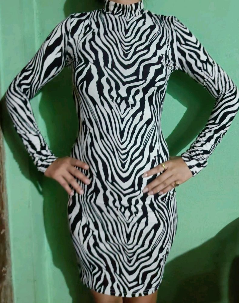 Zebra 🦓 Print Shein Bodycon Dress Party Wear