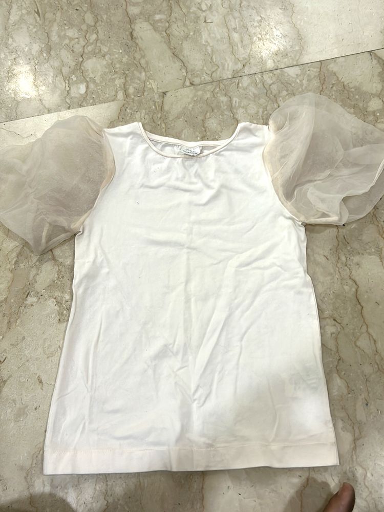 Zara Organza Sleeves Top
