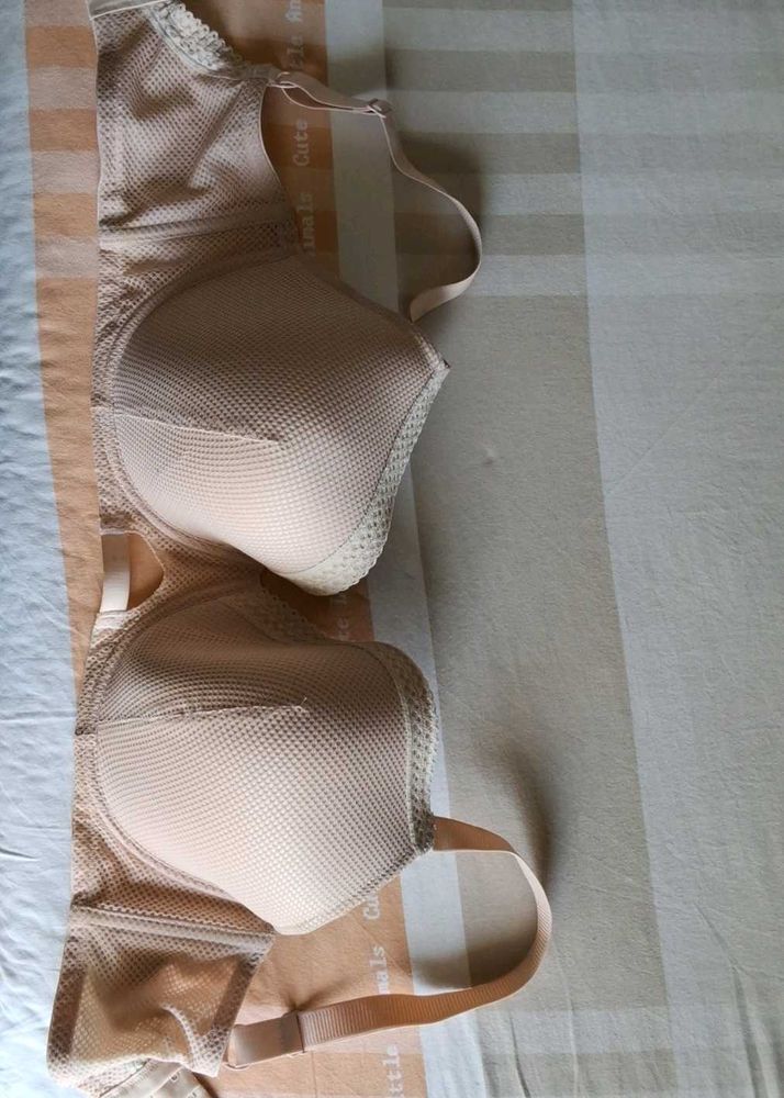 36G Tshirt Bra Nude Colour