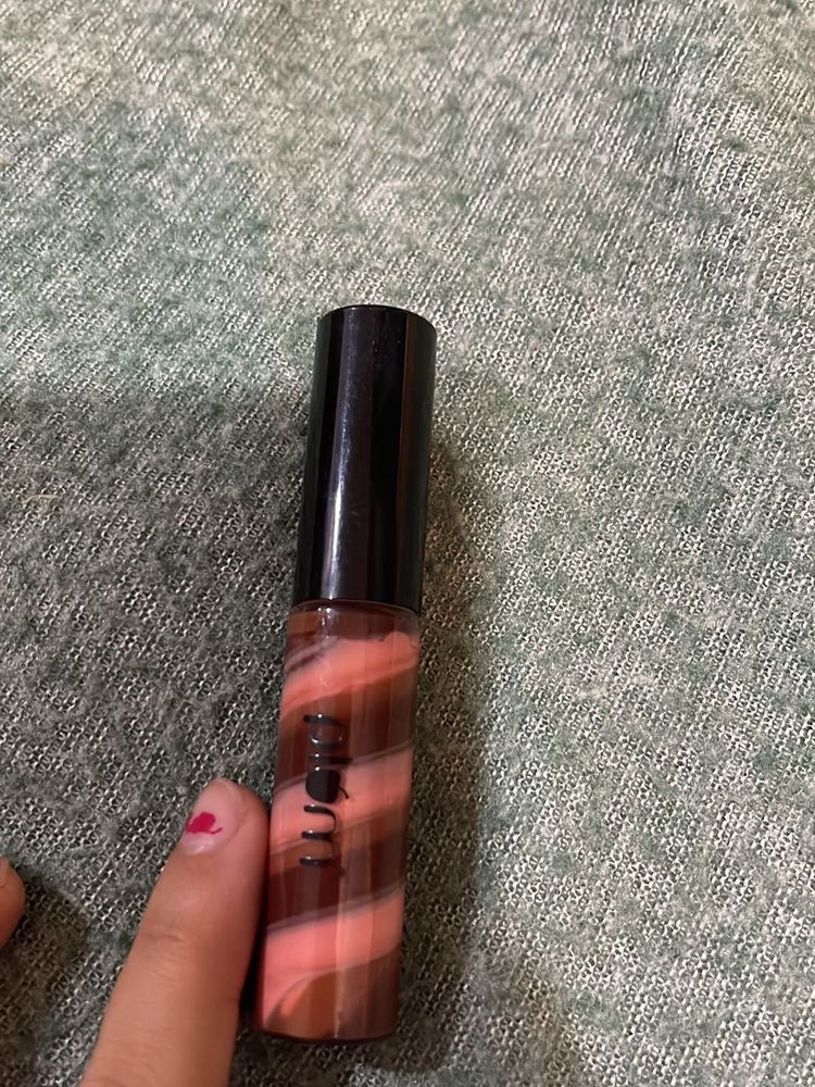 Plum 3 in 1 swirl lip gloss