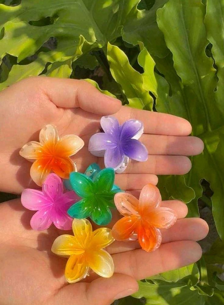 Flower Hair Clips Set Of 6
