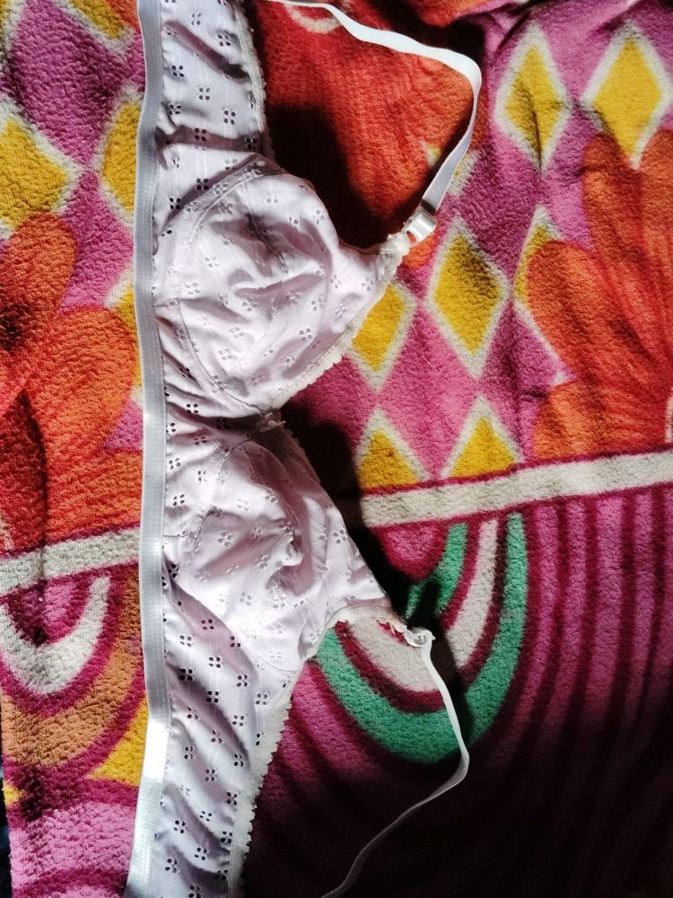 Used Bra, Panty