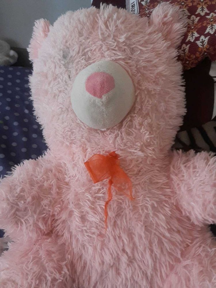 Pink Plush Teddy Bear