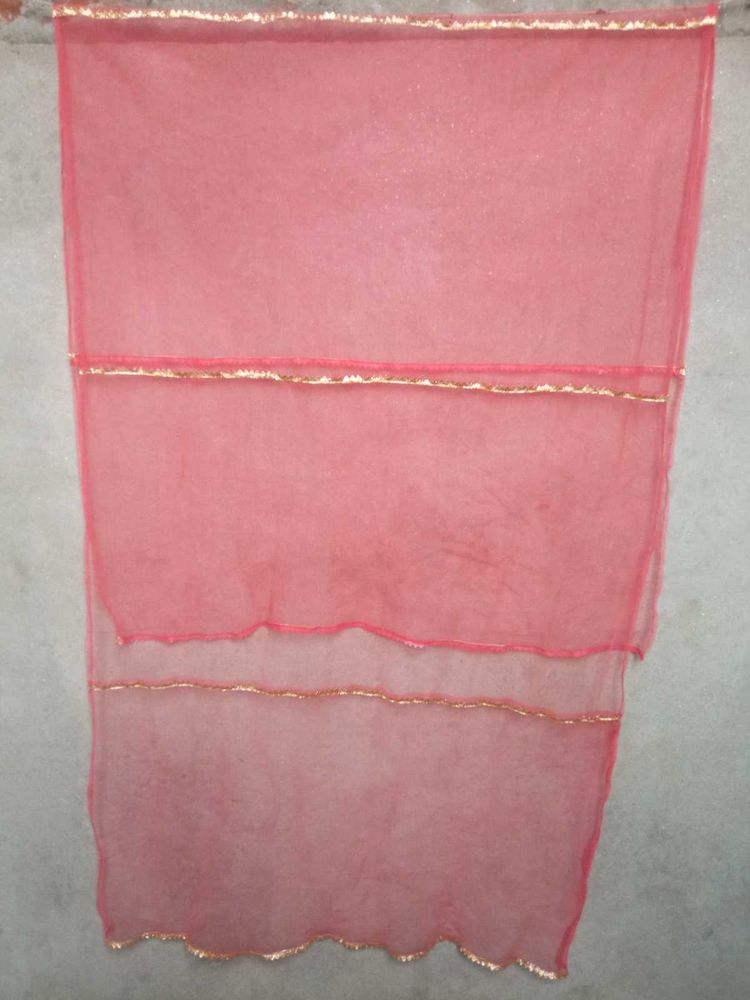 Net Dupatta 4 Line