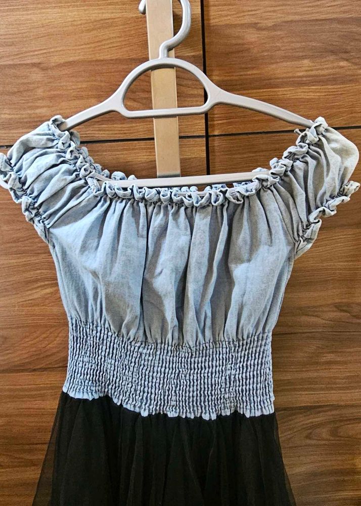 Denim &amp; Tulle Mini Dress