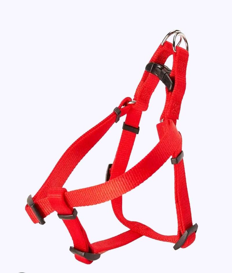 Dog Harness