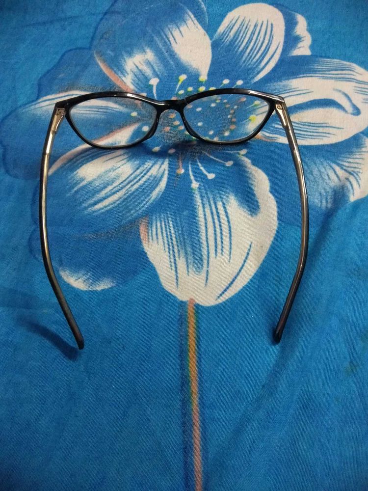 Stylish Eyeglasses