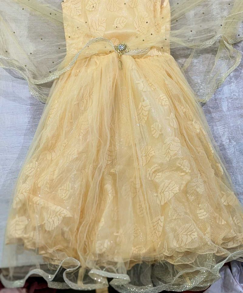Elegant Party Dress | Used only 2-3 times