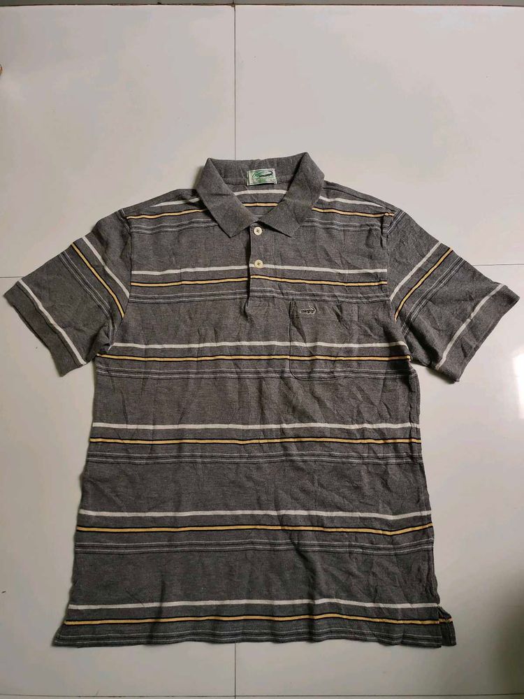 2 Branded Polo Tshirt Combo