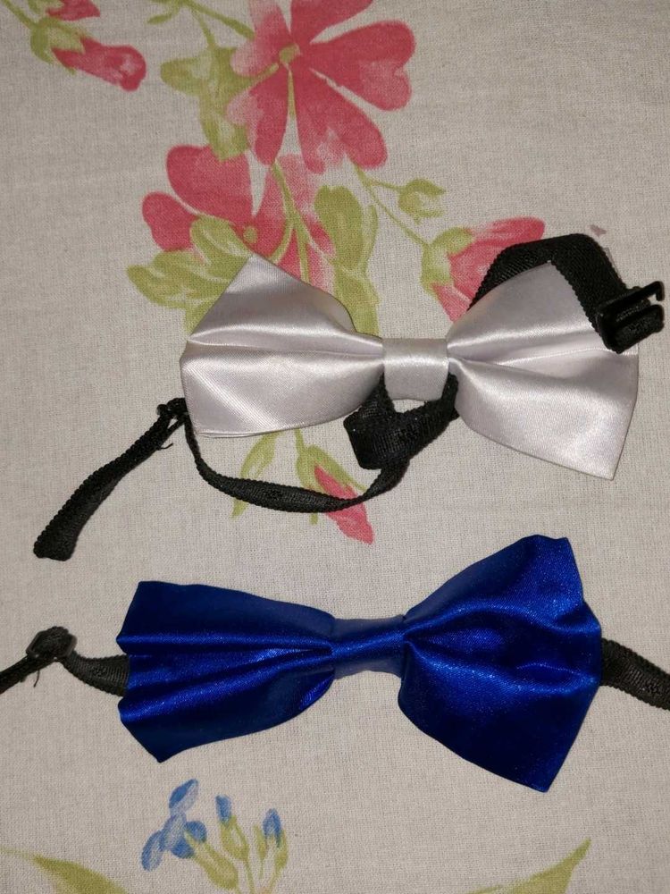 🎀👔 New Satin Bow Tie- Combo Of 2