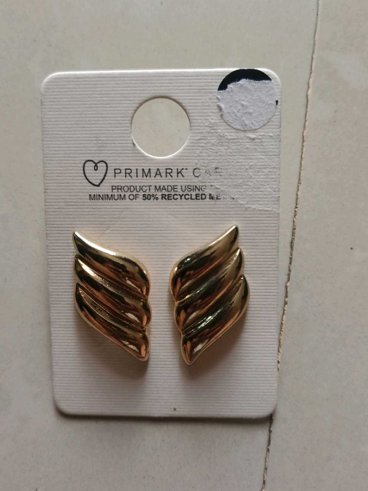 beautiful Earring
