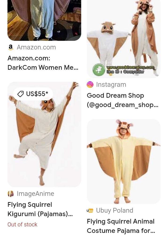 Flying Squirrel Costume
