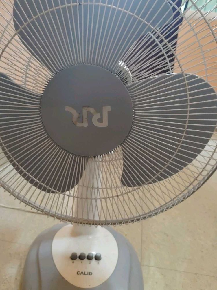 Fan