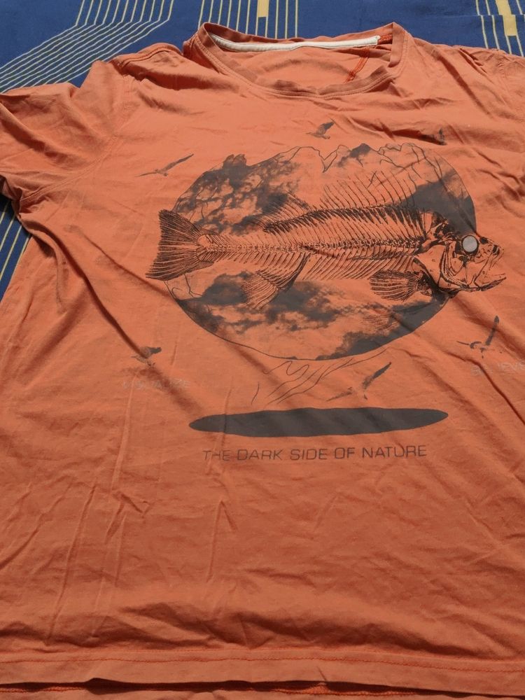 Mens Tshirt