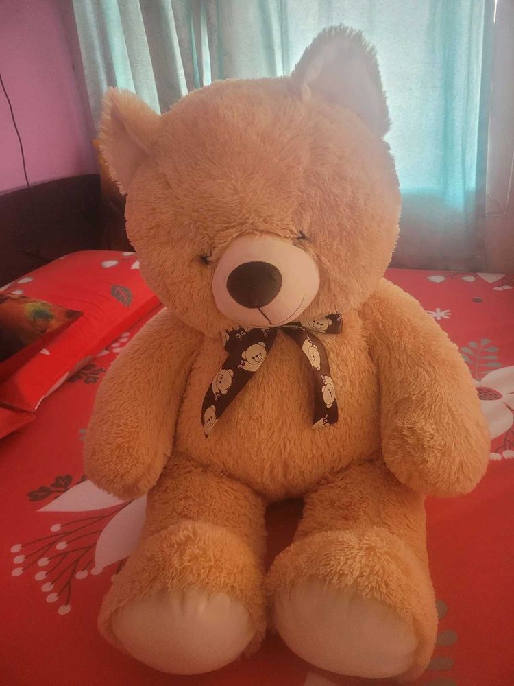 Big Size Teddy Is Available For Kids