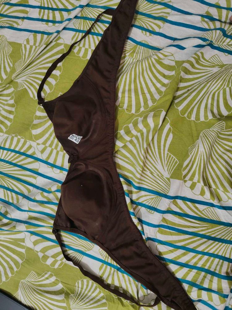 Negotiable Brown Bra