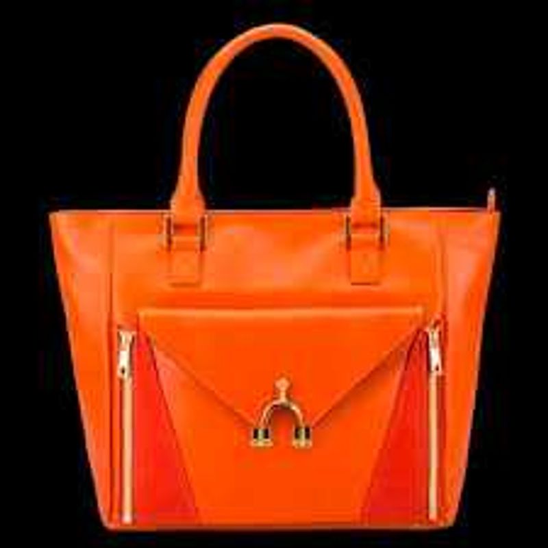 Orange Sophisticated Bag