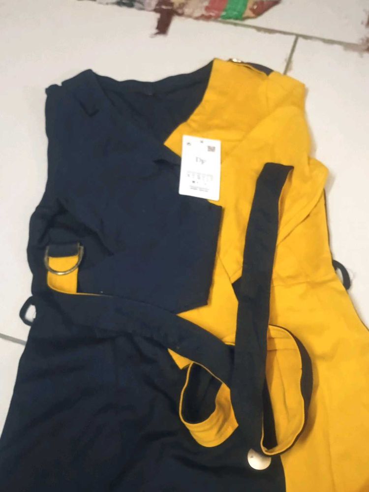 Stylish Two-Tone Dress