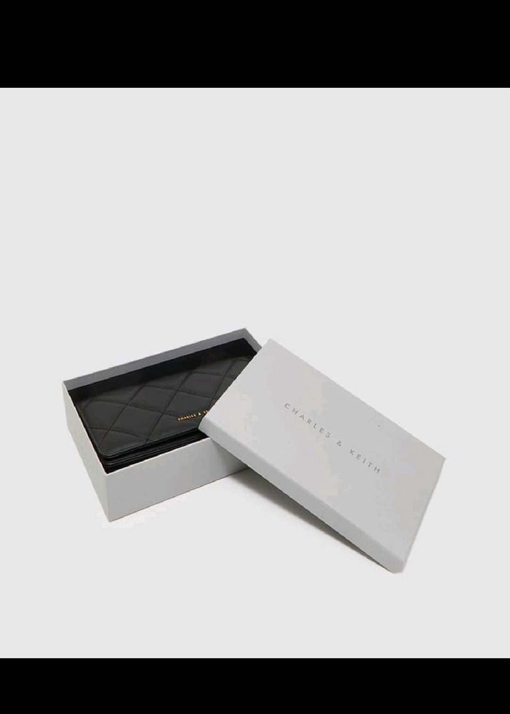 Charles &amp; Keith Quilted Chain Bag