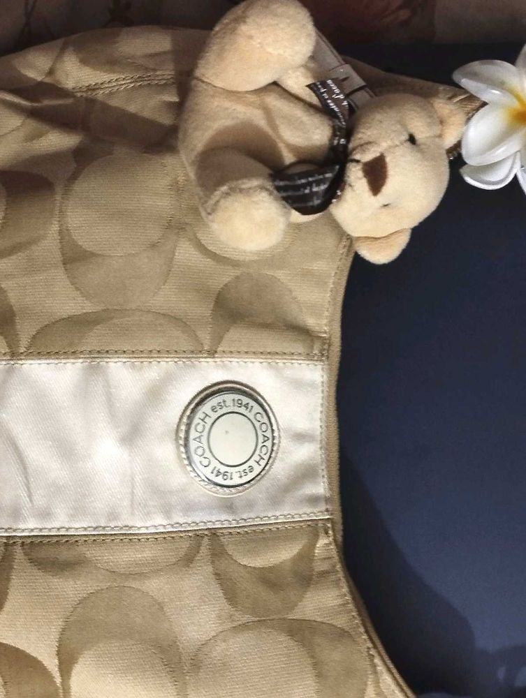 Coach Hobo (Rs2500) *READ DESCRIPTION