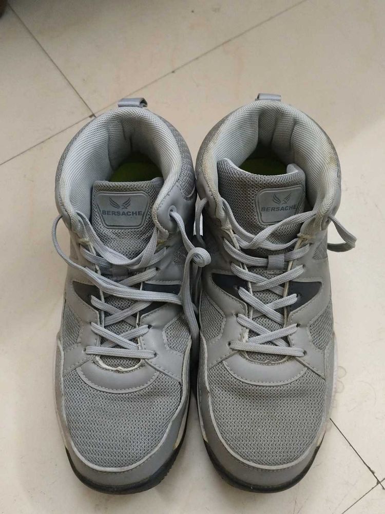 Bersache Gray Sneakers