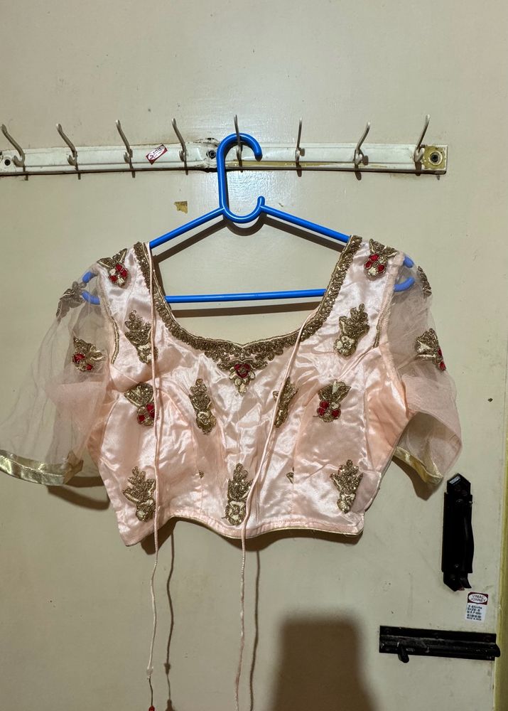 Elegant Embellished Choli