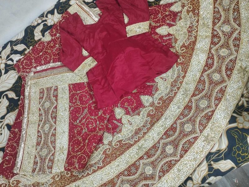 Elegant Lehenga Choli