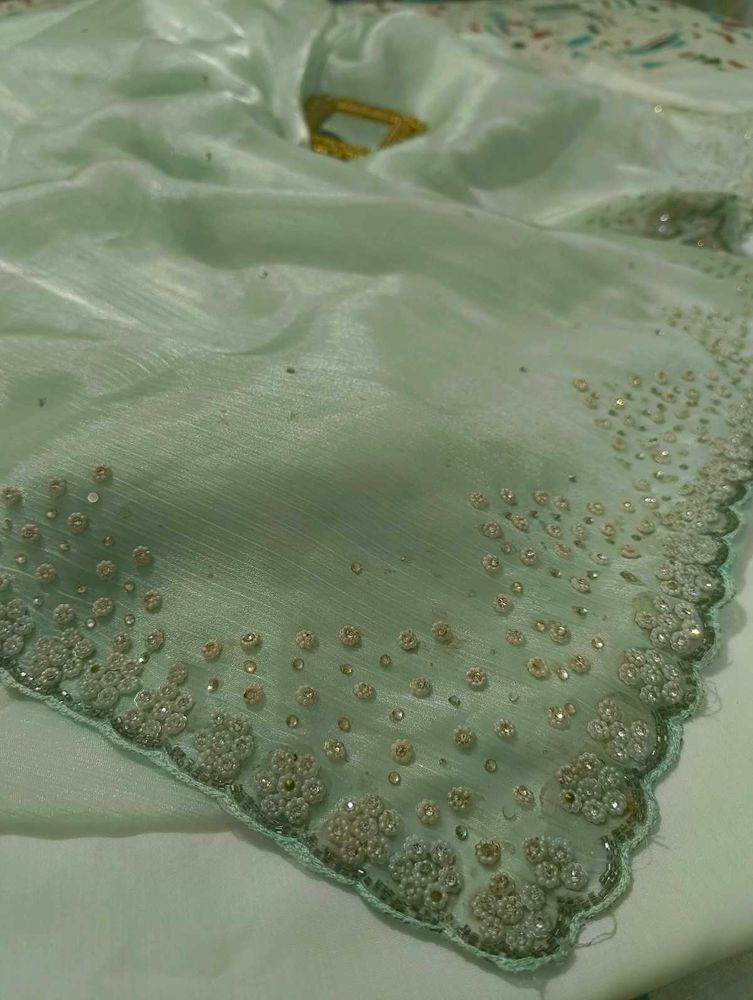 Mint Green Embellished Saree