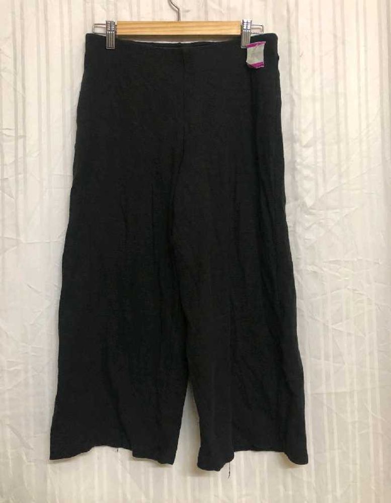 Zara Plain Black Pant