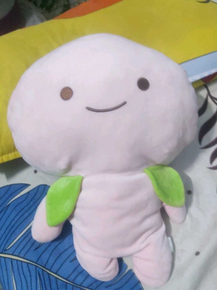 Snugaboos Korean Plushies 💕