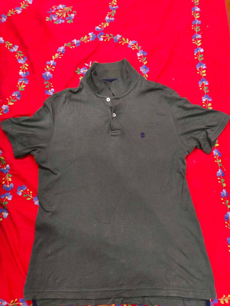 IZOD Polo Shirt