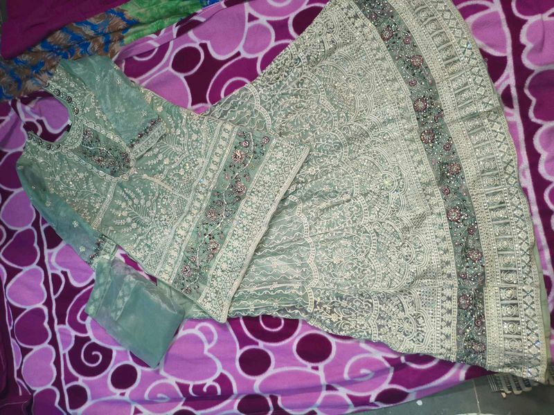 Pista Colour Pakistani Style Sharara Suit