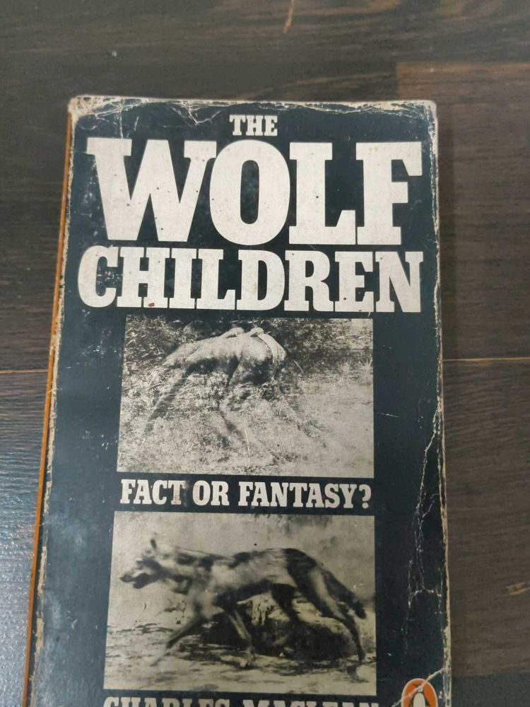 The Wolf Children Book