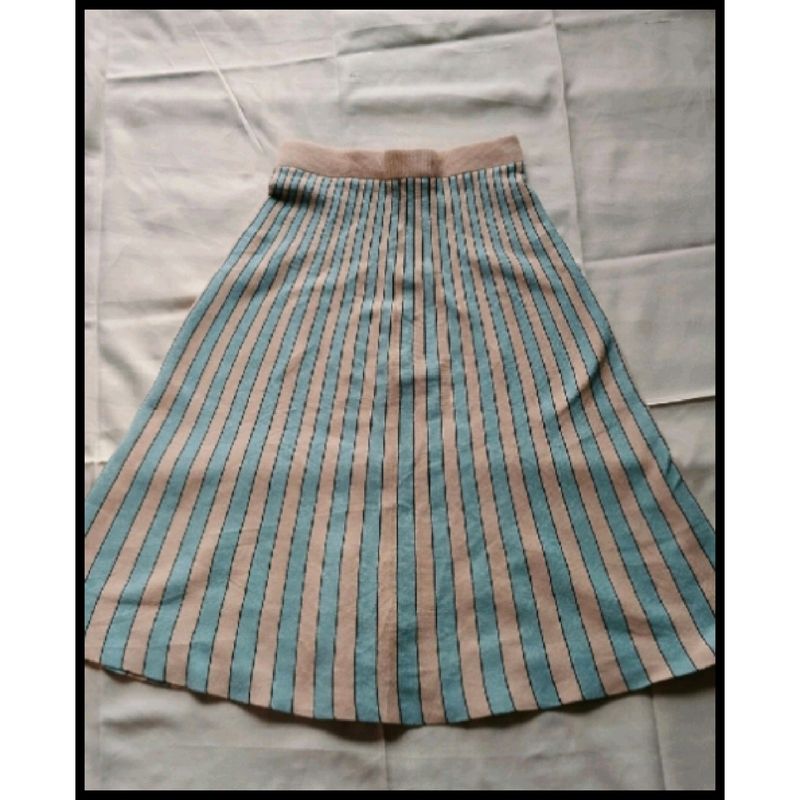 Knee Length Skirt