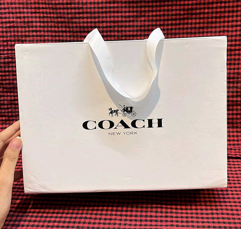 Coach Carrybag Cum Magnetic Box