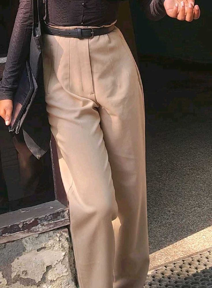 Zara Beige Carrot Pants