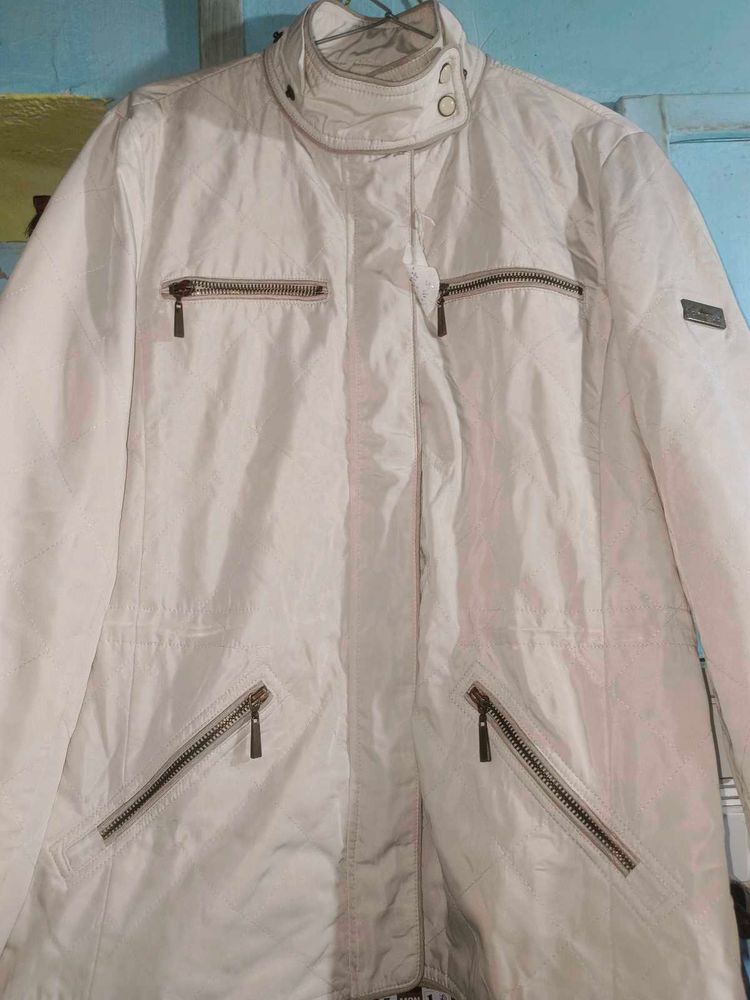 Zara Basic Jacket