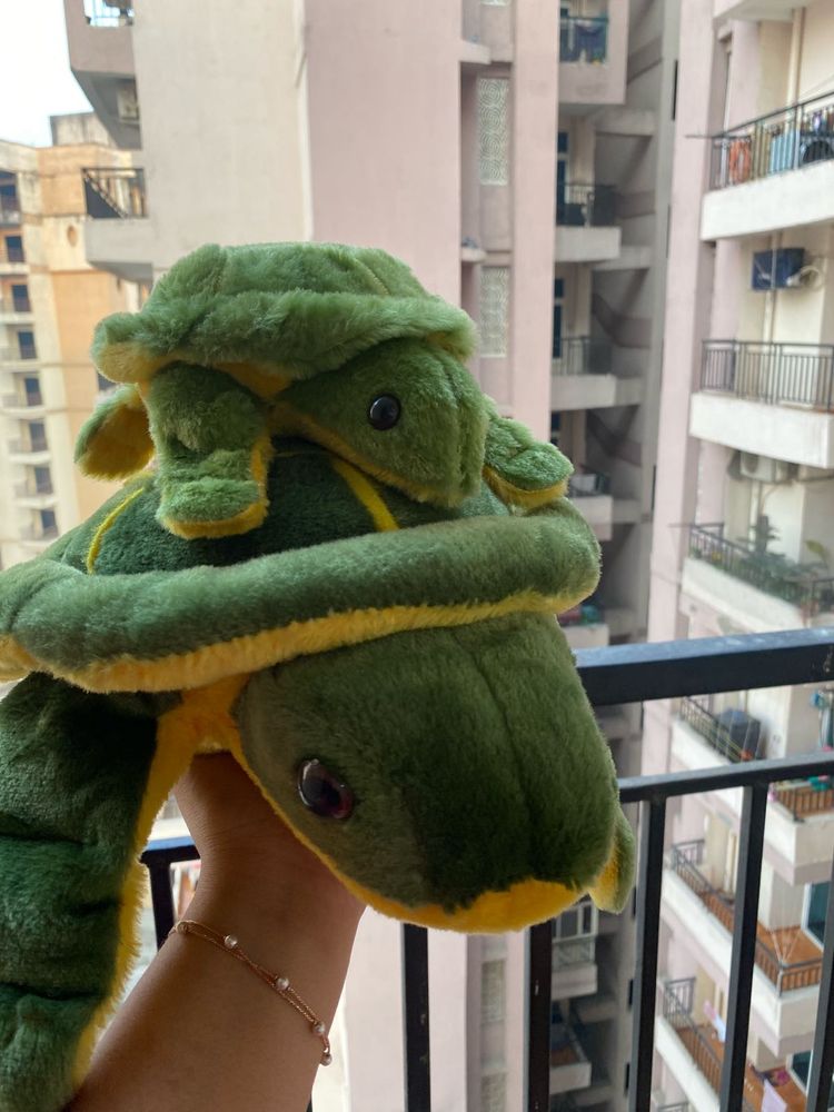 Two Octopus In One price