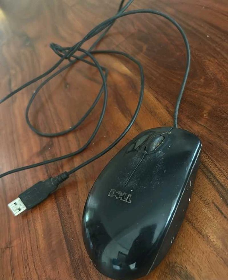 Dell Mouse Wired Usb