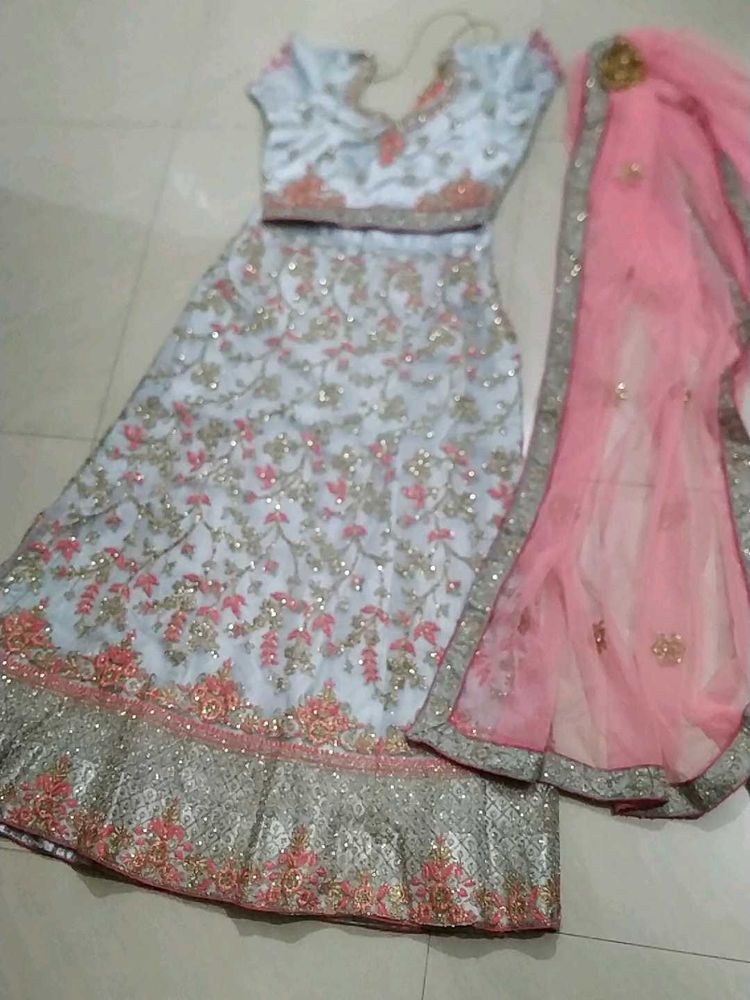 Embroidered l Lehenga Choli