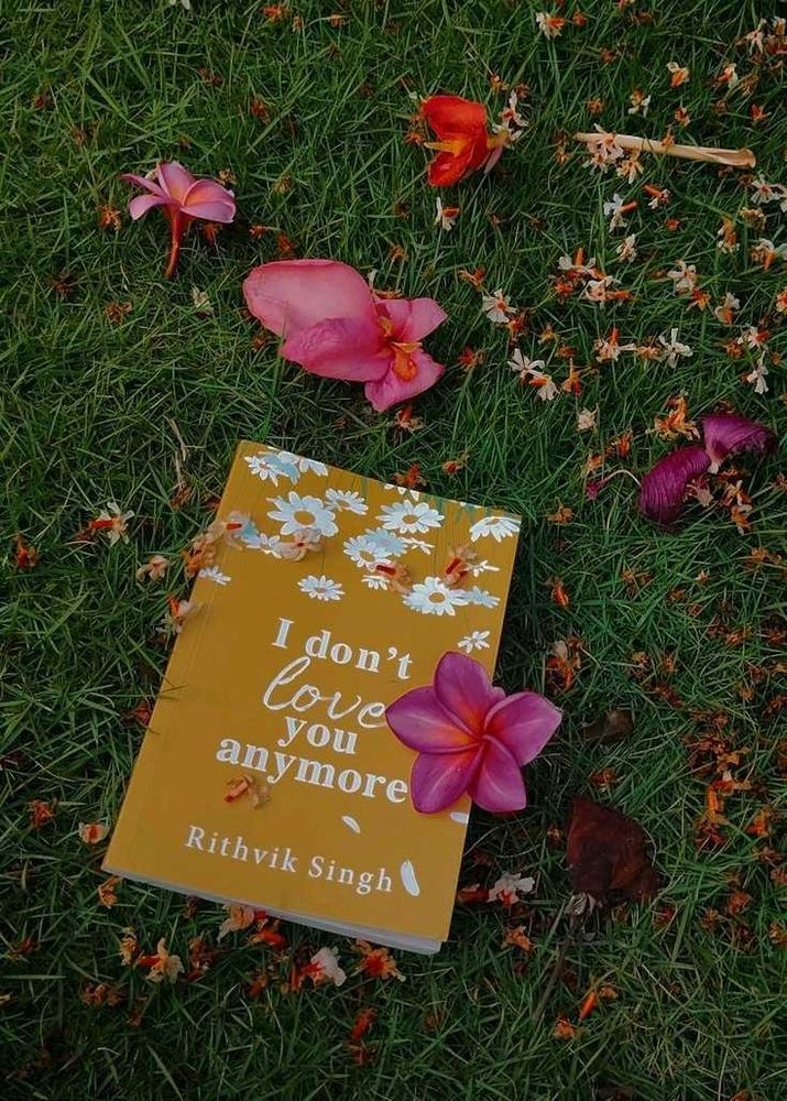 I Don&#39;t Love You Anymore