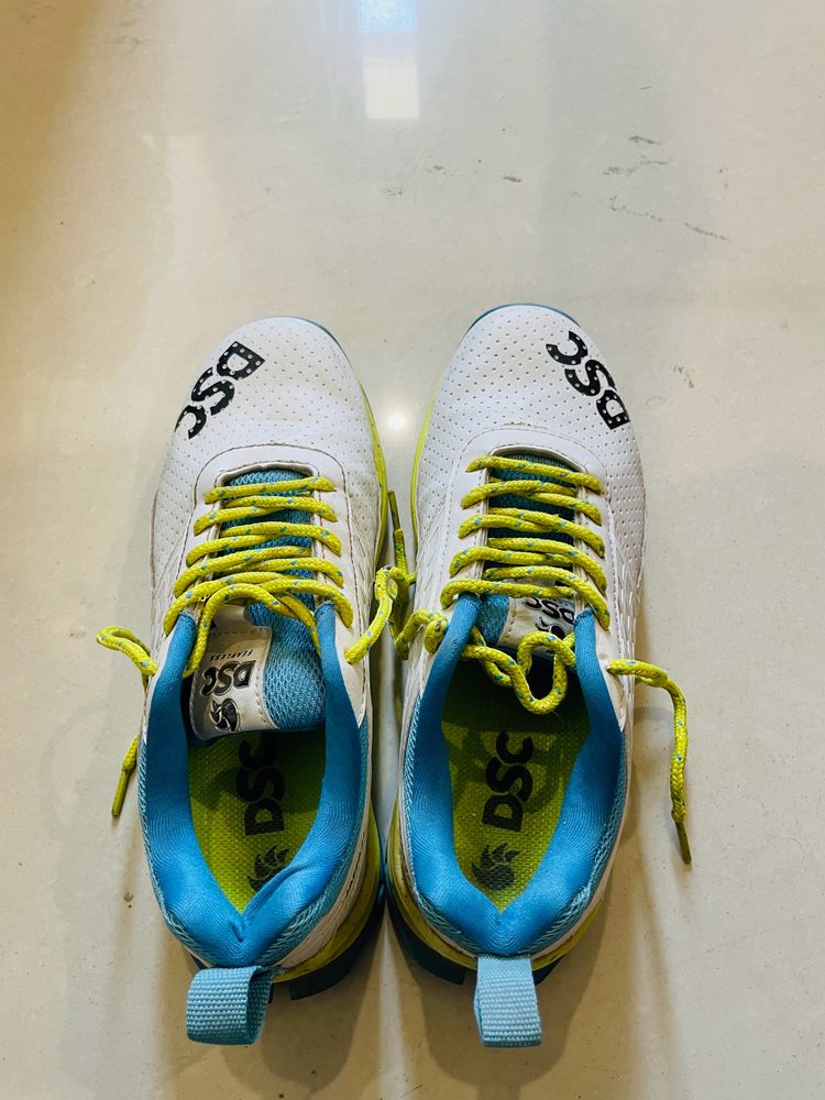 DSC sports shoes
