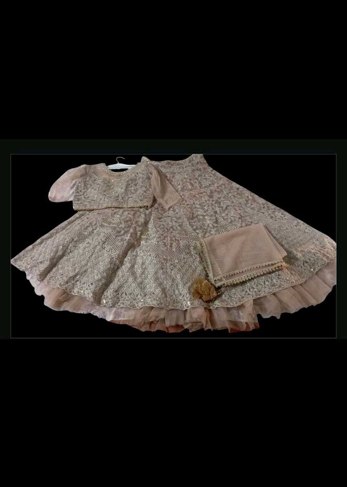 Elegant Embroidered Lehenga Set